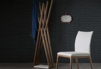 Luxury Coat Rack In Modern Design