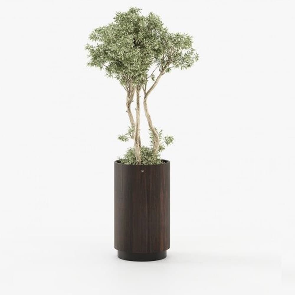 Gold Tall Planter By FCI London