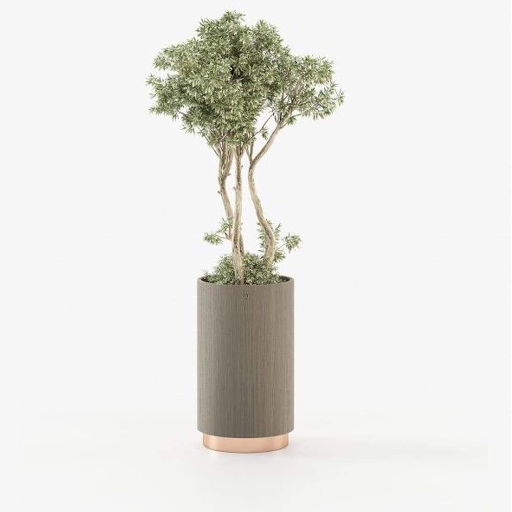 Gold Tall Planter By FCI London