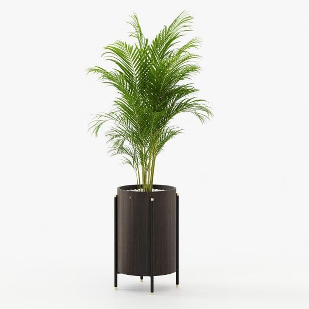 Rosie Planter By FCI London