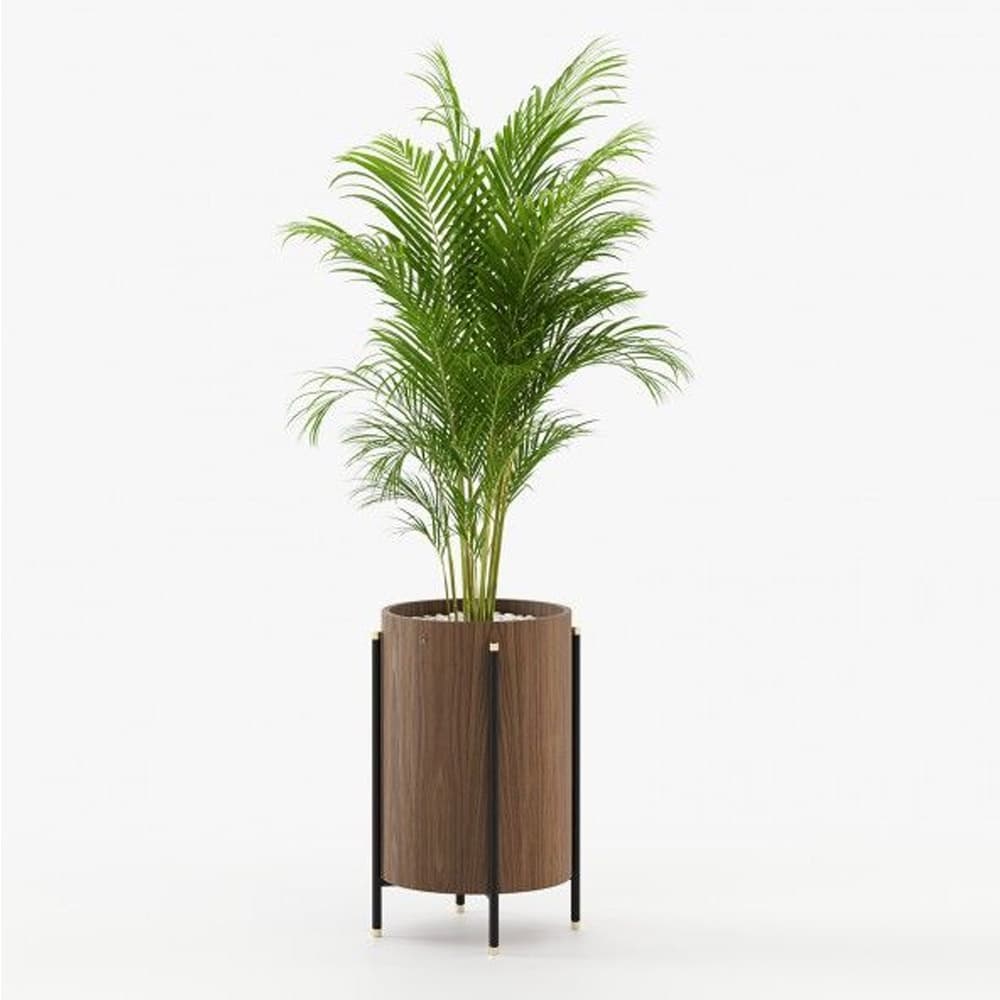 Rosie Planter By FCI London