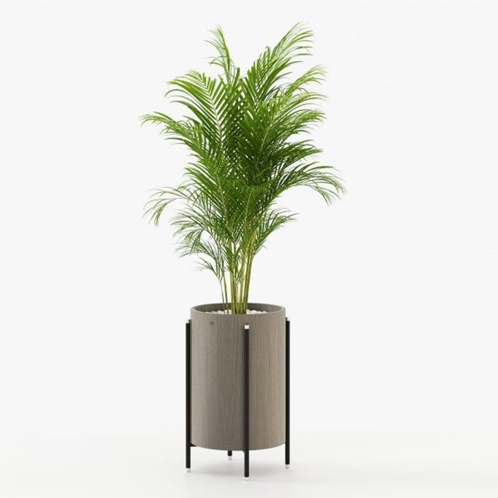 Rosie Planter By FCI London