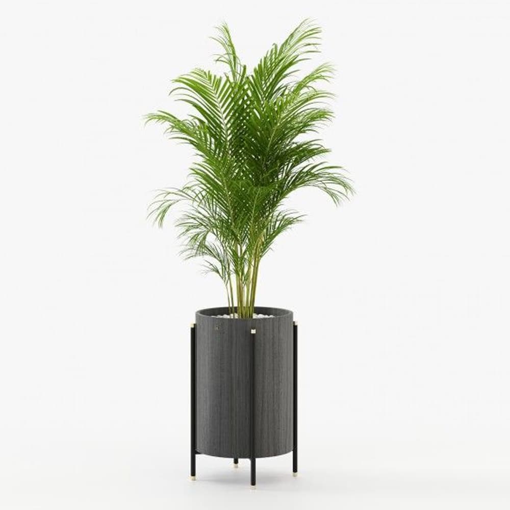 Rosie Planter By FCI London