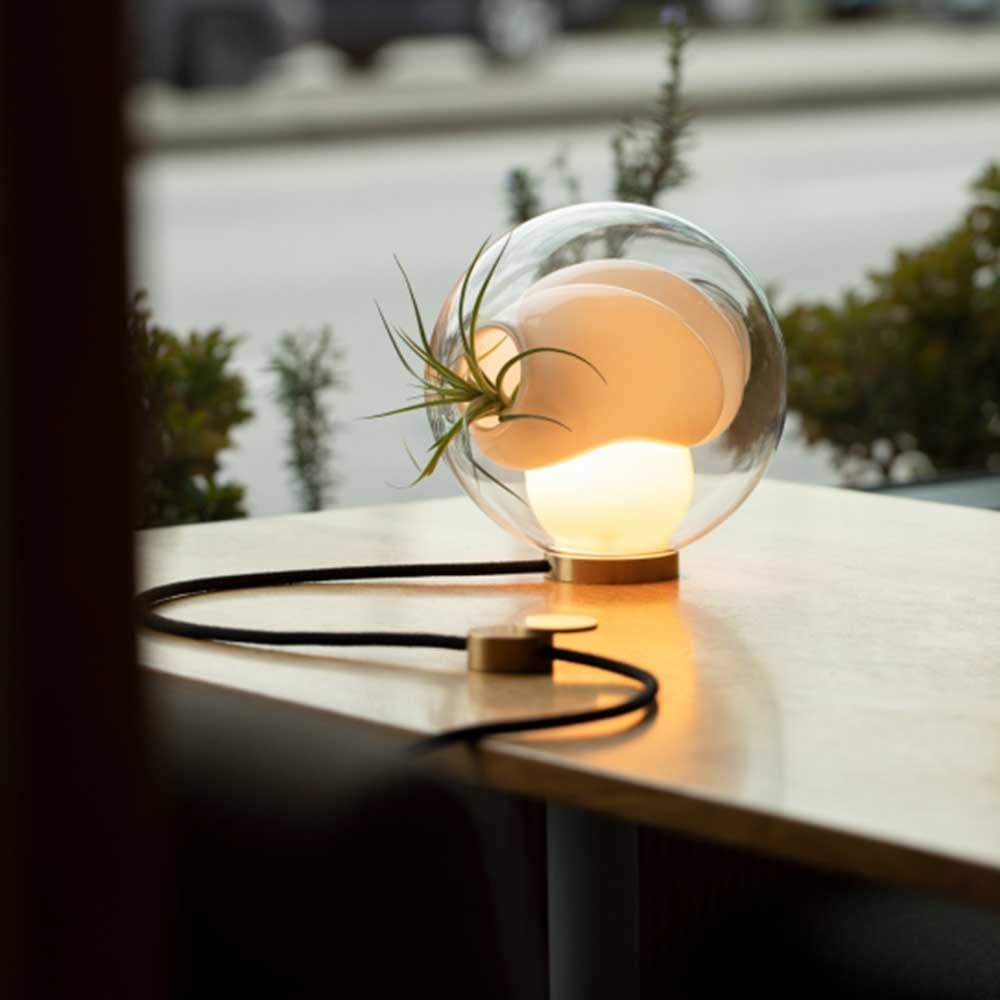 38V Table Lamp by Bocci