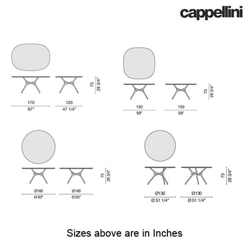 Branch Dining Table by Cappellini