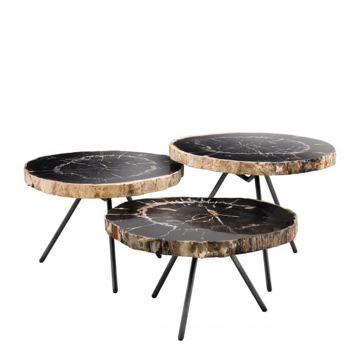 De Soto Set Of 3 Dark Range Petrified Wood Coffee Table by Eichholtz