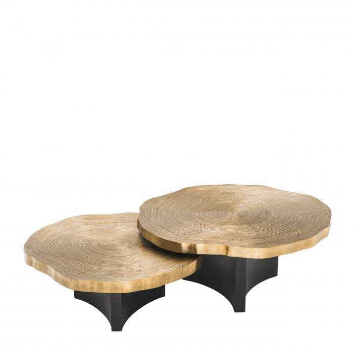 Thousand Oaks Set Of 2 Coffee Table by Eichholtz