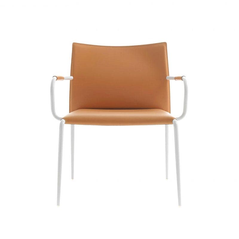 Gazelle Armchair by Enrico Pellizzoni