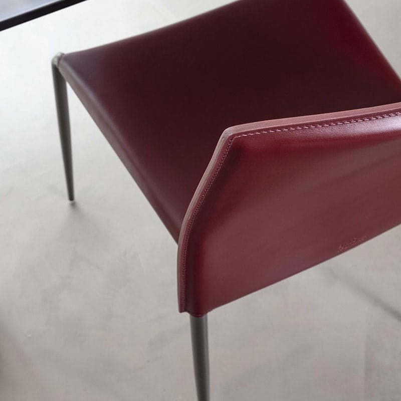 Gazelle Dining Chair by Enrico Pellizzoni