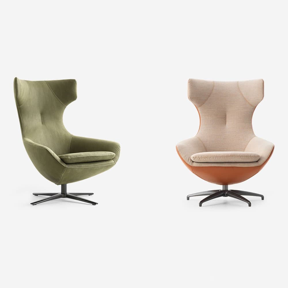 Caruzzo Armchair by Leolux