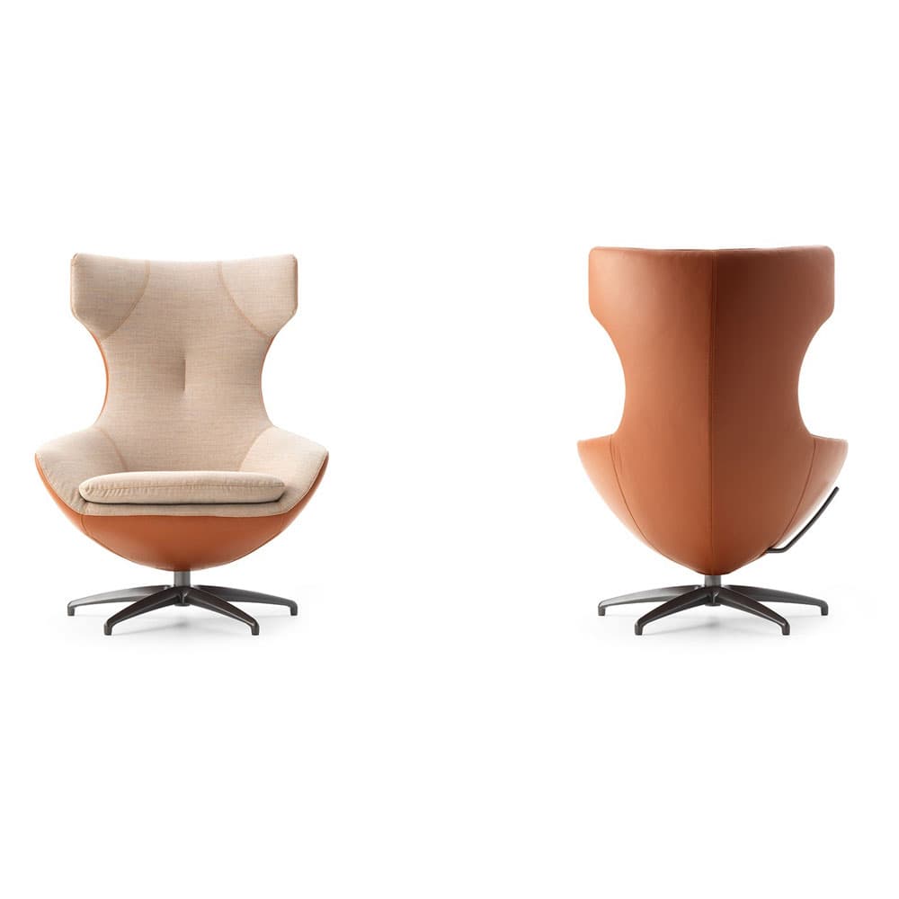 Caruzzo Armchair by Leolux