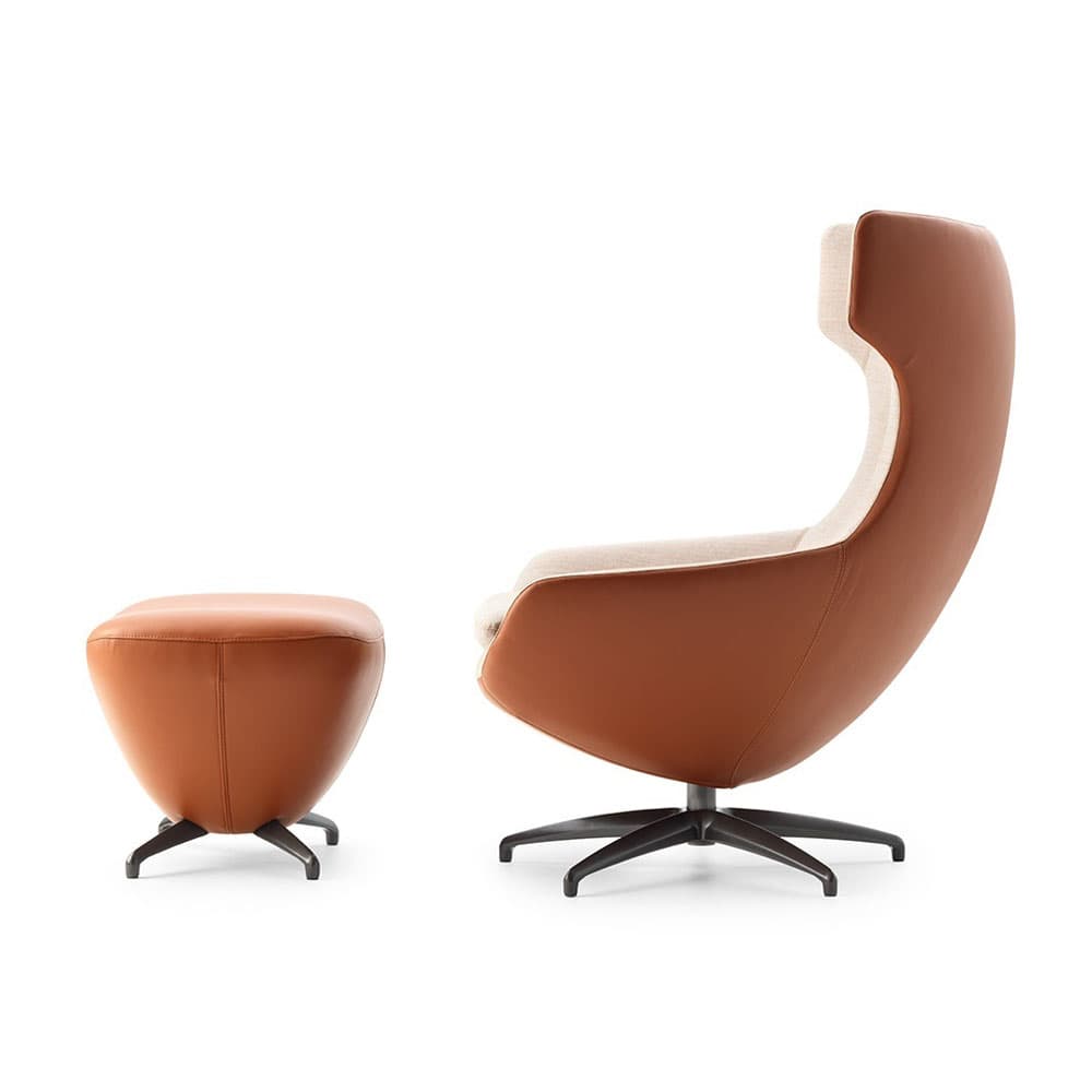 Caruzzo Armchair by Leolux