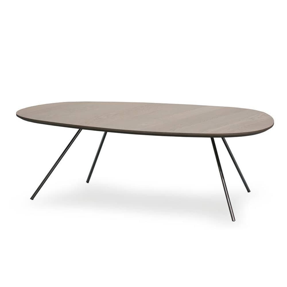 Liliom Coffee Table by Leolux