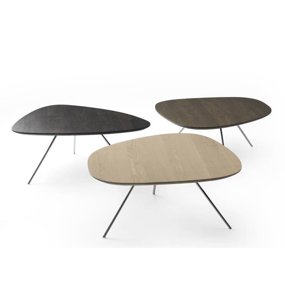 Liliom Coffee Table by Leolux