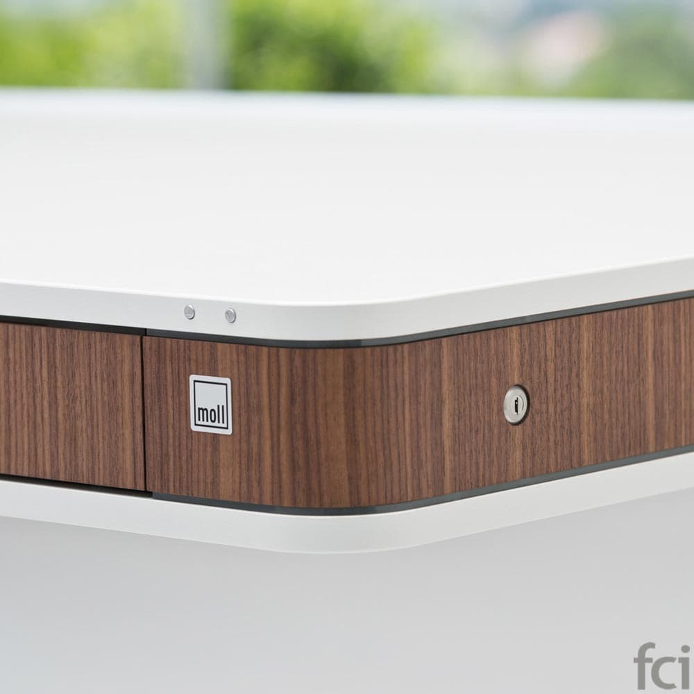 T7 Office Table by Moll