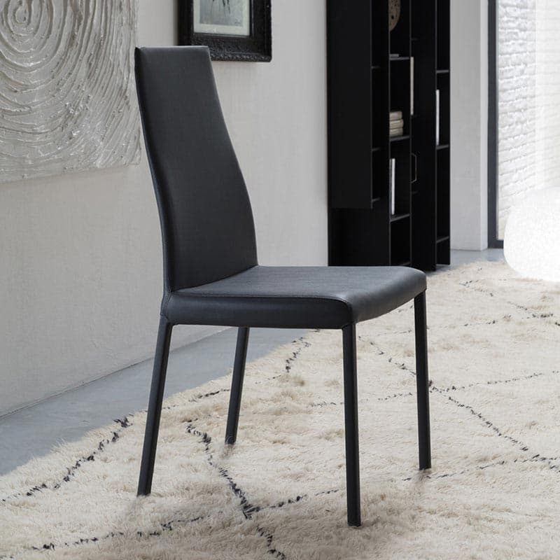 Blitz Dining Chair by Ozzio Italia