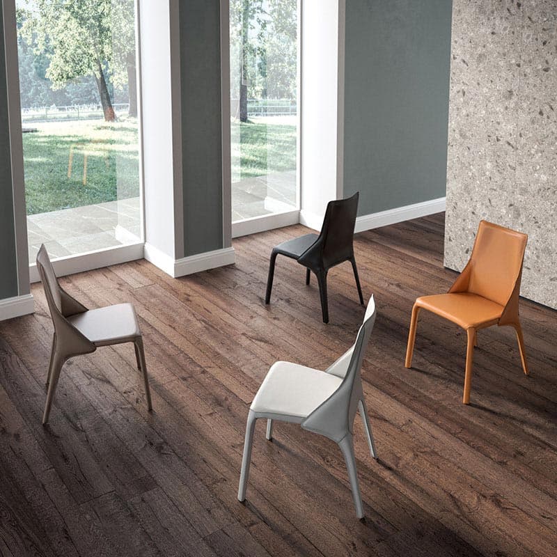 Kite Dining Chair by Ozzio Italia