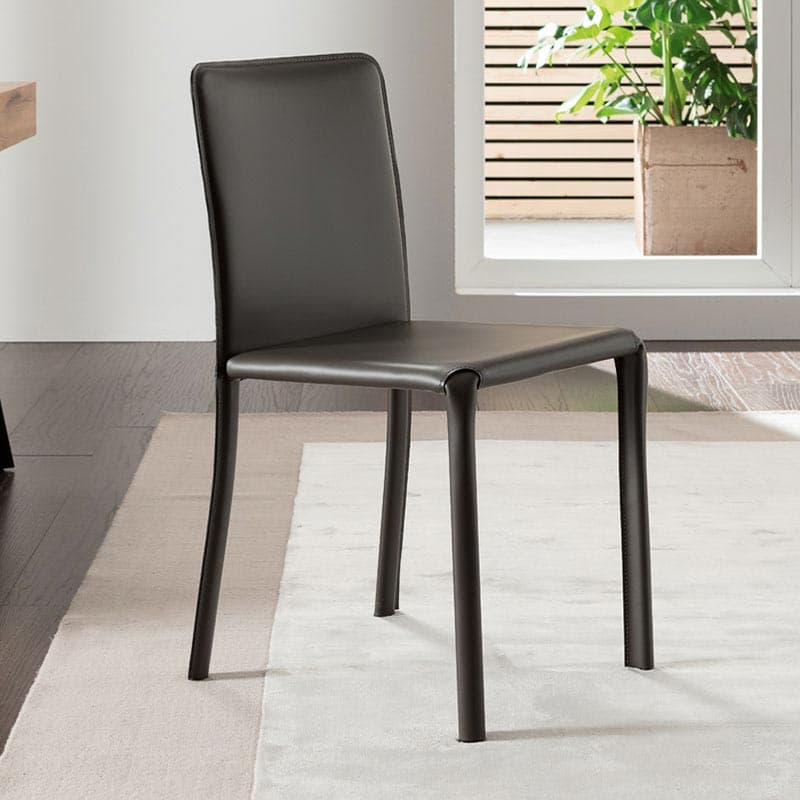 Lunette Dining Chair by Ozzio Italia