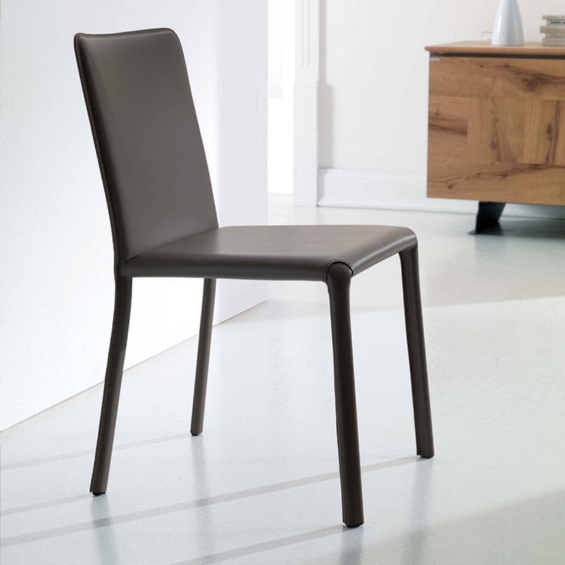 Lunette Dining Chair by Ozzio Italia