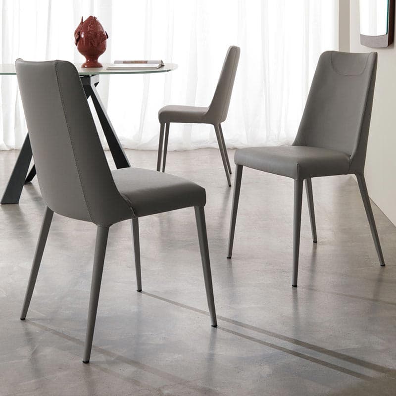 Sofia Dining Chair by Ozzio Italia