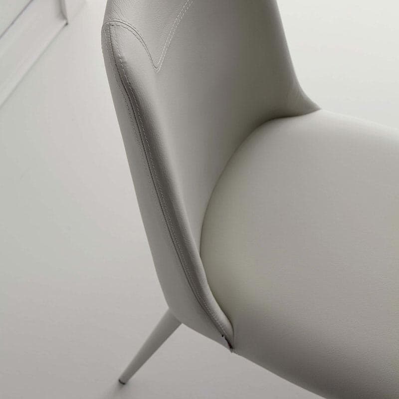 Sofia Dining Chair by Ozzio Italia