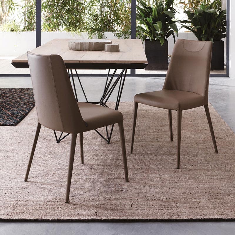 Sofia Dining Chair by Ozzio Italia