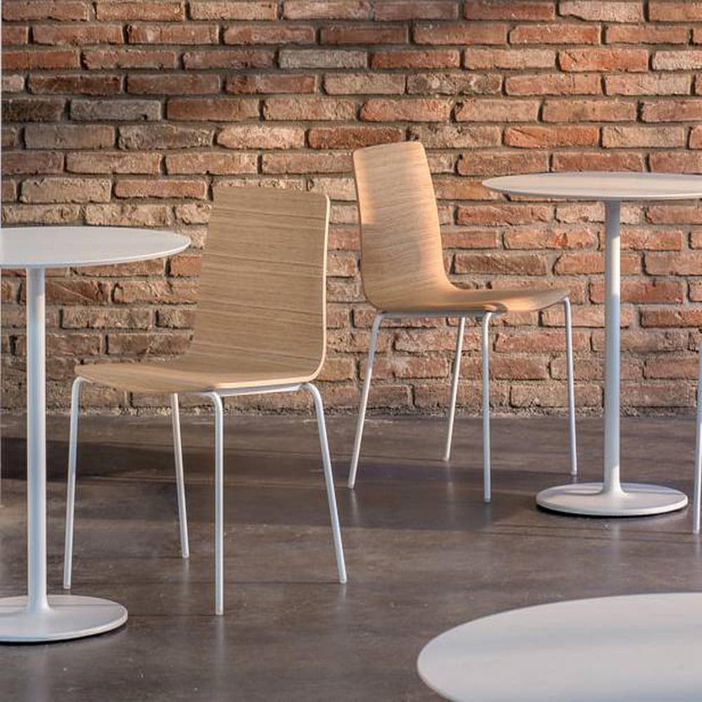 Inga Plywood 5613 Dining Chair by Pedrali