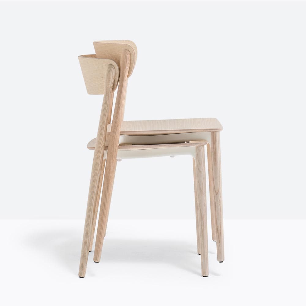 Nemea 2820 Dining Chair by Pedrali