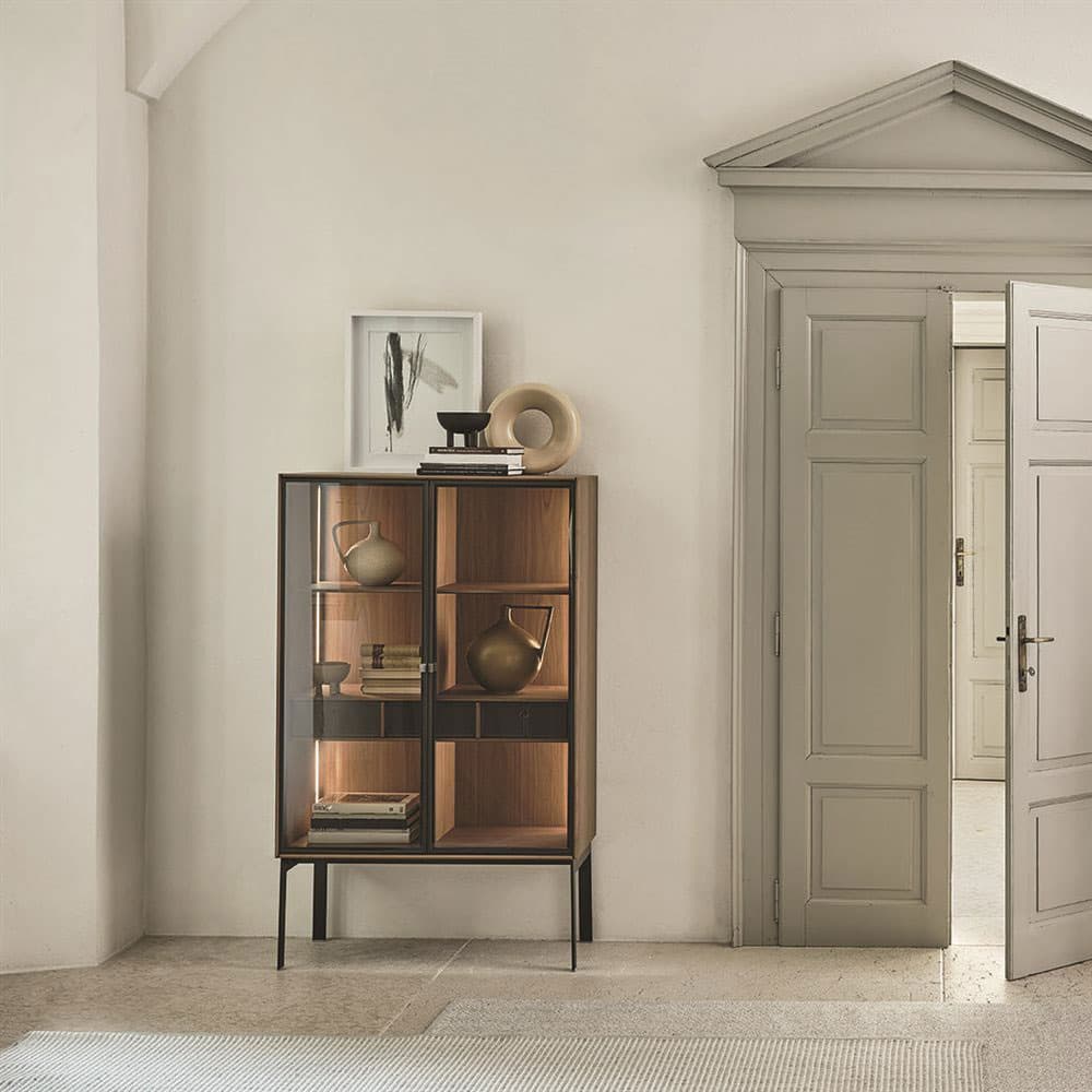 Matics 2 Door Display Cabinet by porada