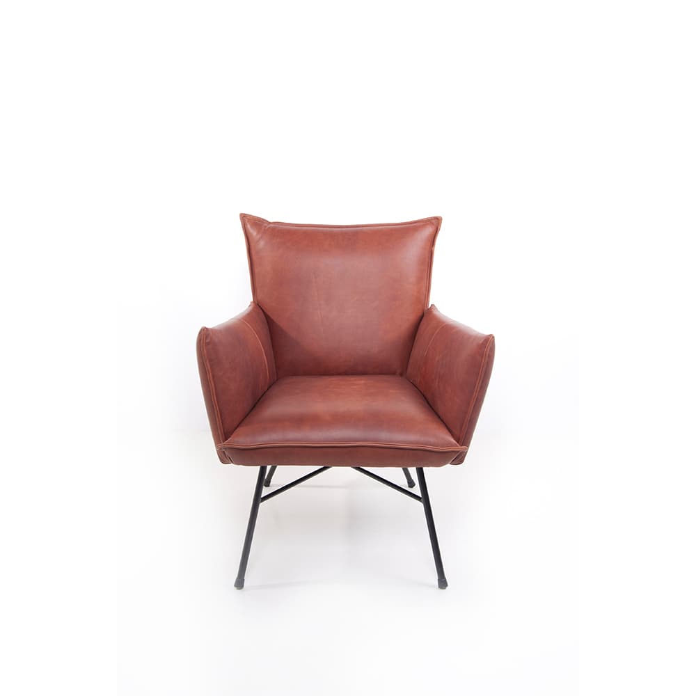 Sanne Armchair by Quick Ship