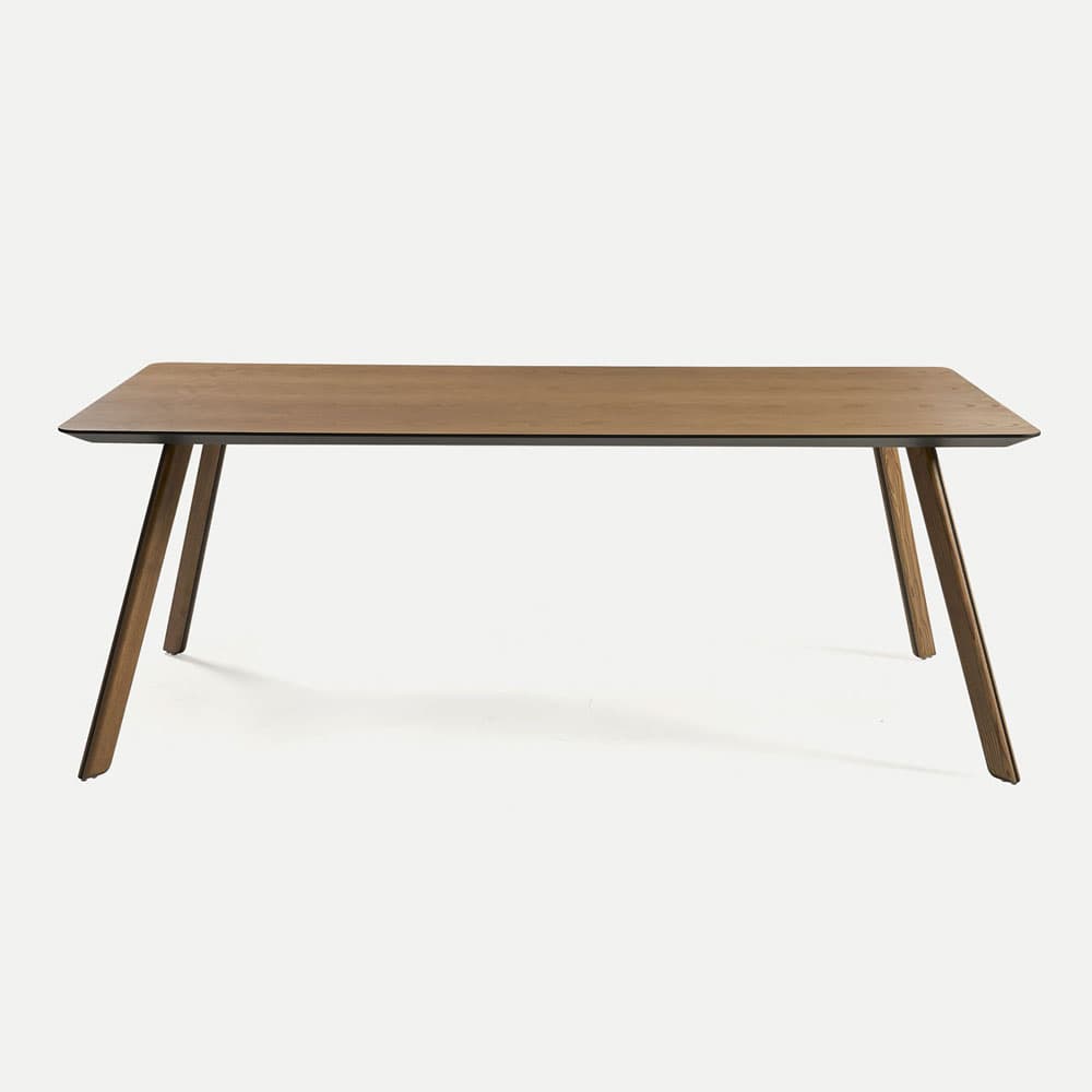 Tortuga, Bench, Sancal