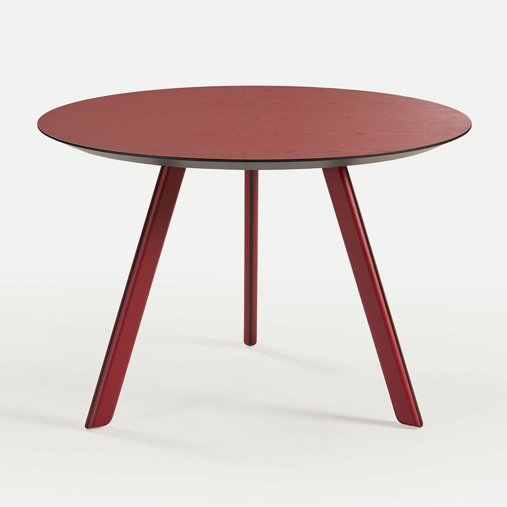 Tortuga, Bench, Sancal