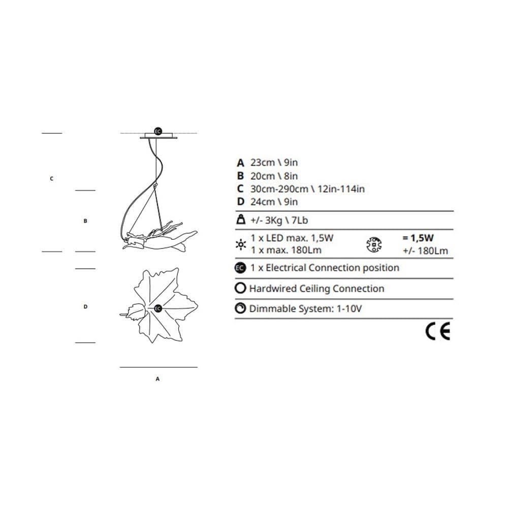 Folio Collection by Serip Size