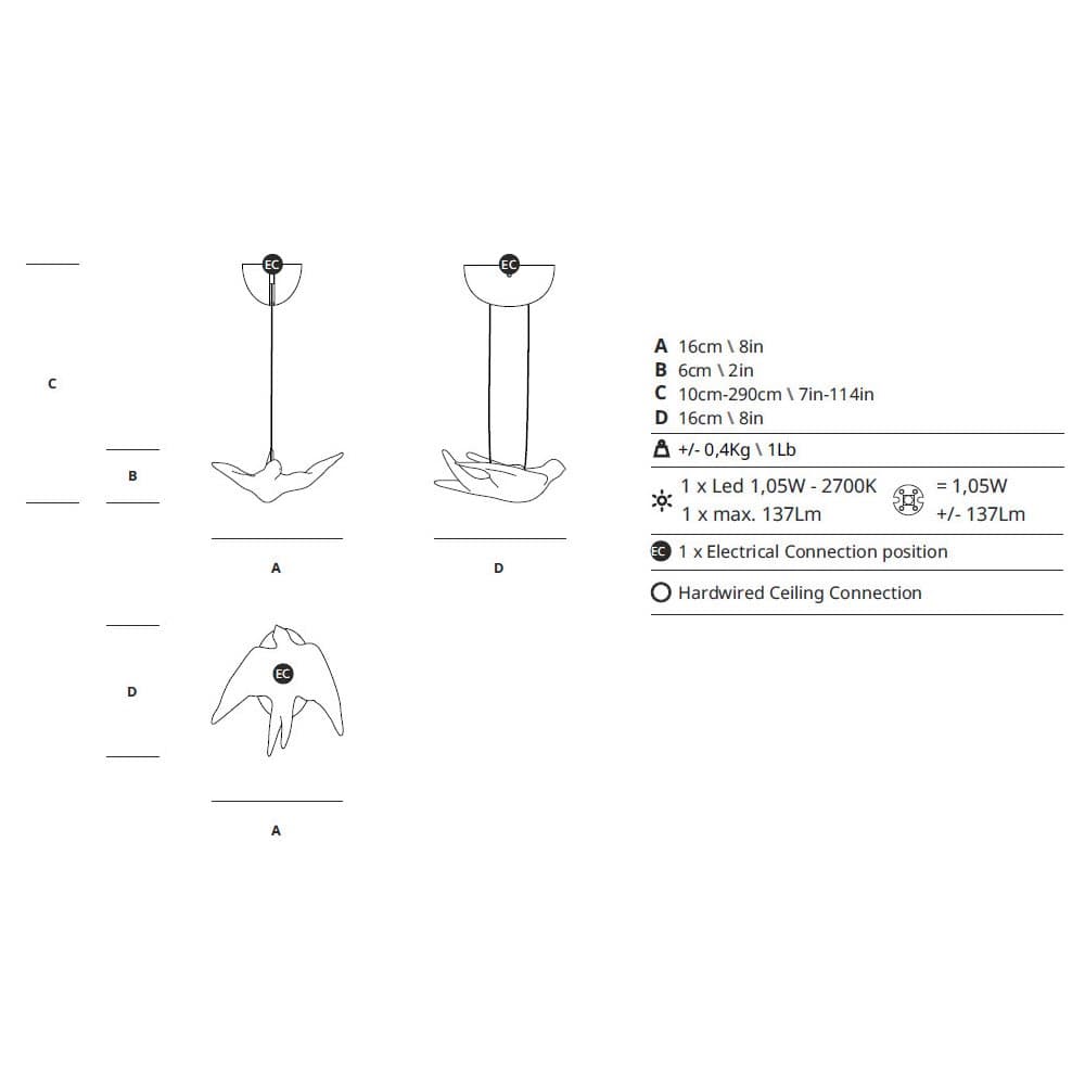 Voa Collection by Serip Arrangement 3