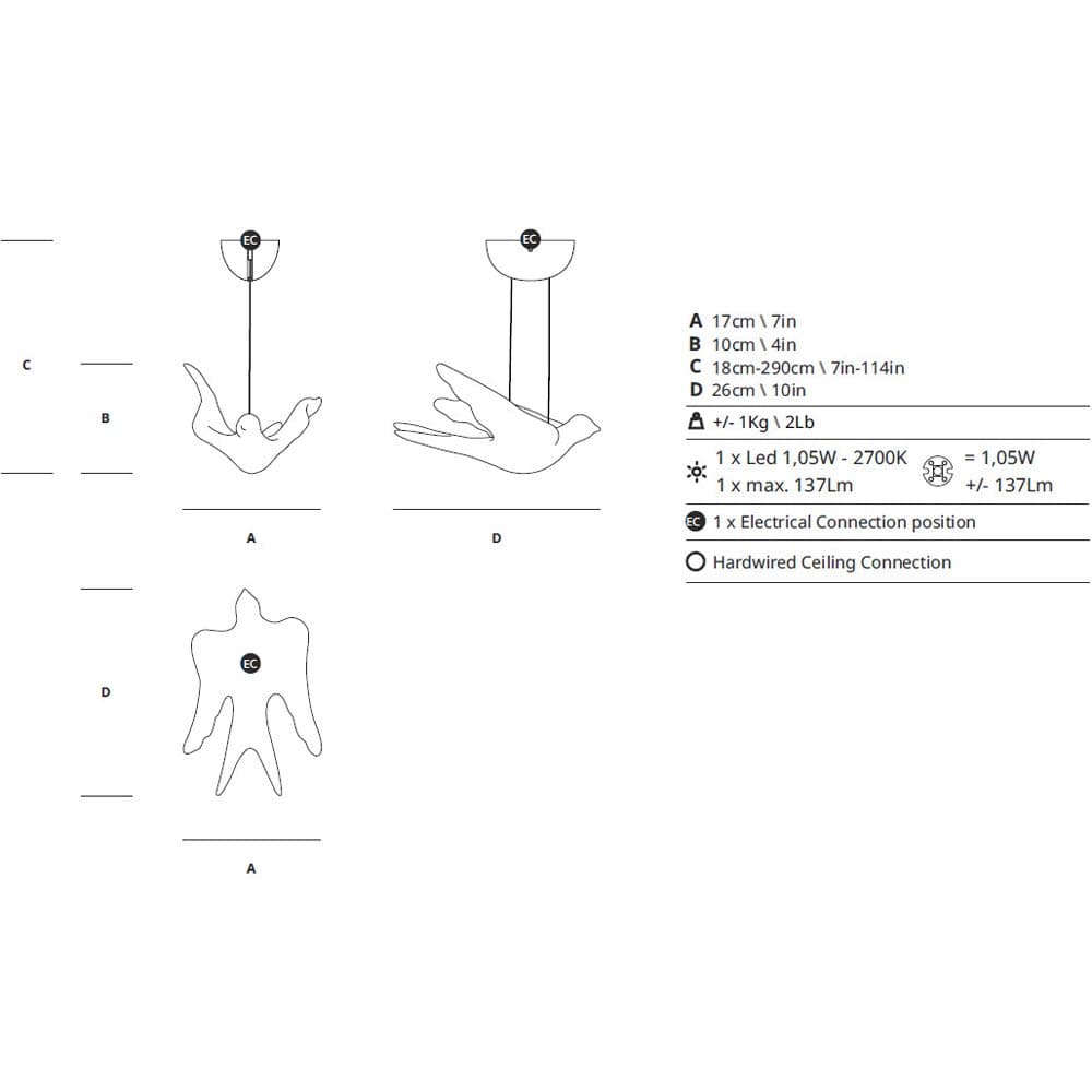 Voa Collection by Serip Arrangement 5