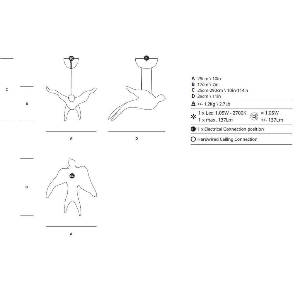 Voa Collection by Serip Arrangement 6