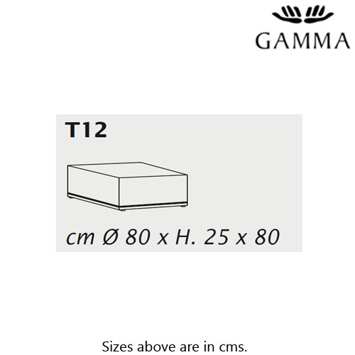 T12 Coffee Table By Gamma And Dandy